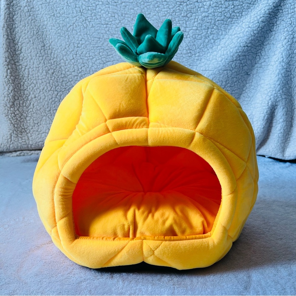 Pineapple Small Pet Bed (NWOT)